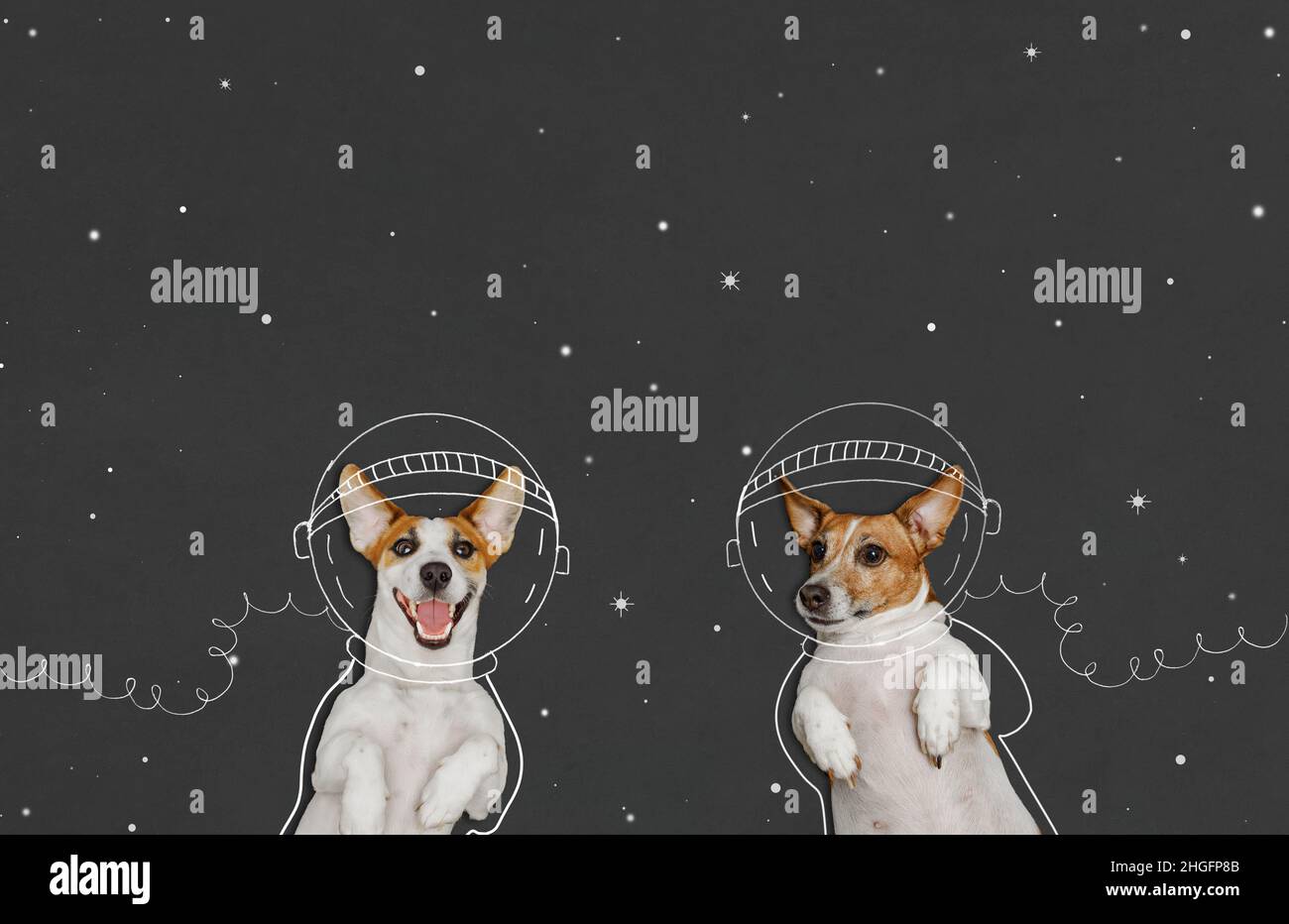 Cute dogs in the space suit drawing on blackboard. First trip to space  concept. 12 april day, astronautics day, back to school, successful,  future, ed Stock Photo - Alamy