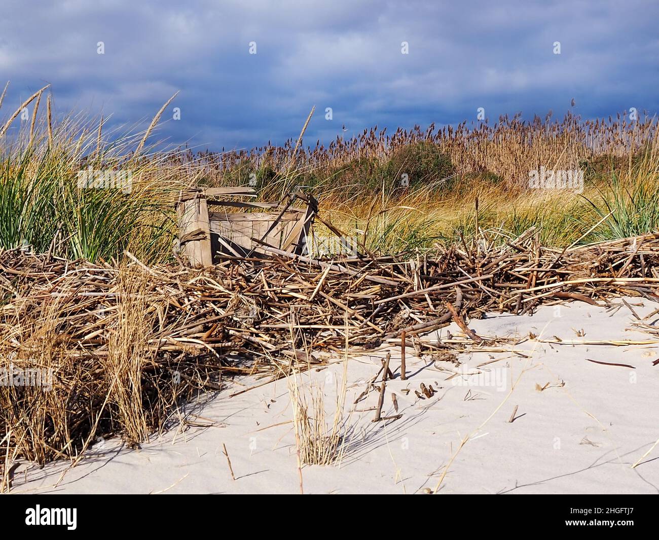 An old,  falling apart wooden bushel basket for crabs sits in a pile of sticks and tidal detritus on an empty beach on a winter day. Stock Photo