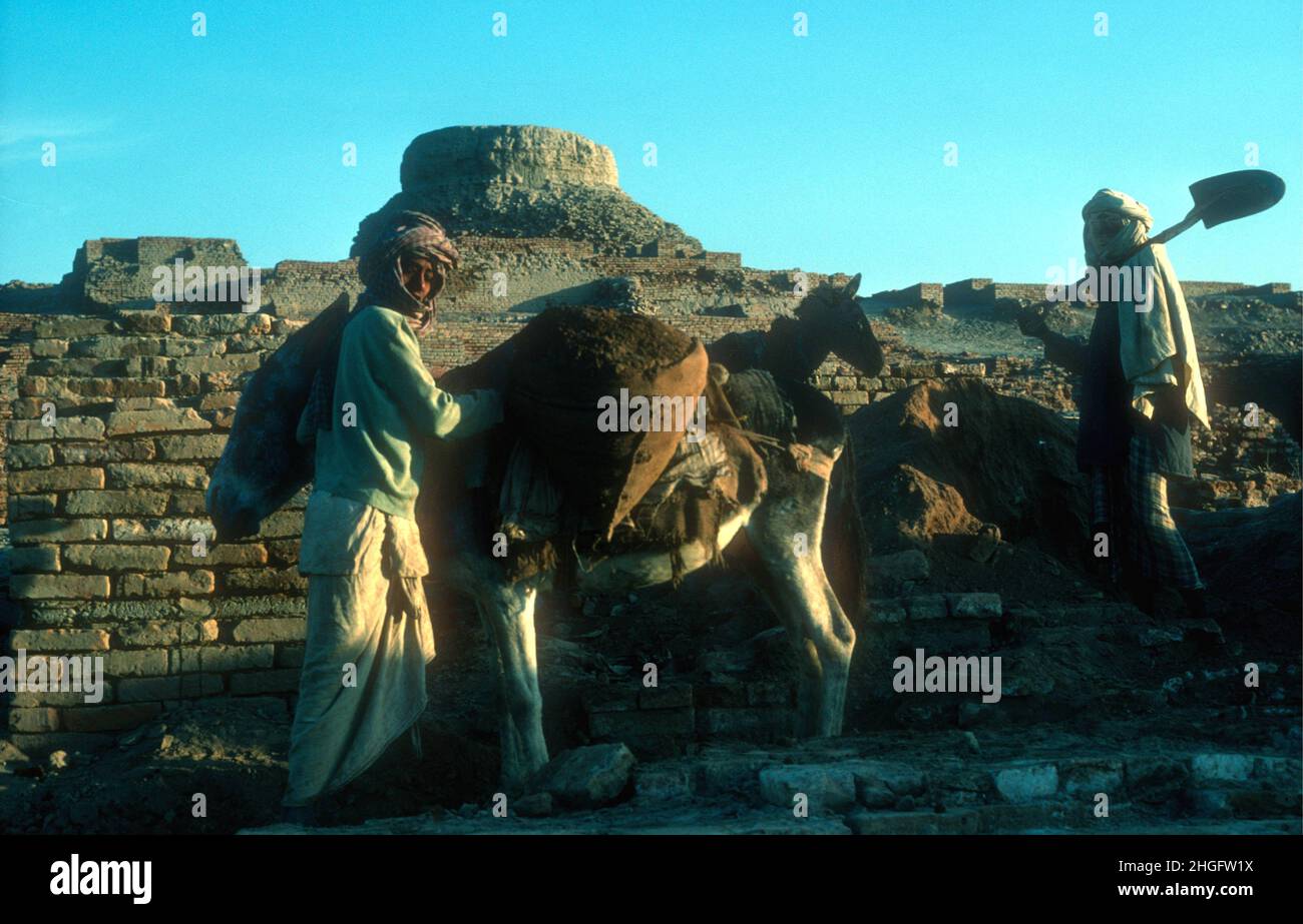 Workers using simple tools and donkeys maintaining Mohenjodaro, Indus Valley town site, c.2500 BCE, in the province of Sindh, Pakistan Stock Photo