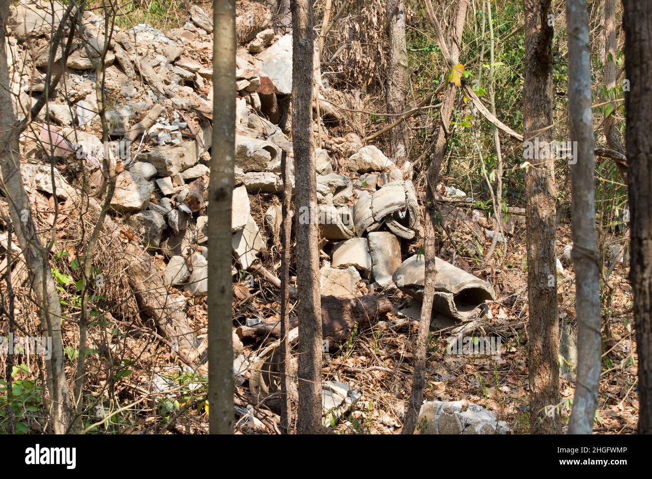 Garbage dump - polluted forest Stock Photo - Alamy