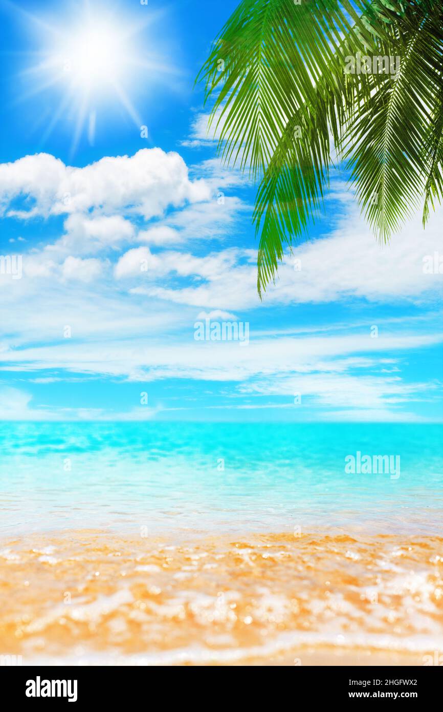 Tropical island paradise beach nature, blue sea wave, ocean water, green coconut palm tree leaves, yellow sand, sun, sky white clouds, summer vacation Stock Photo