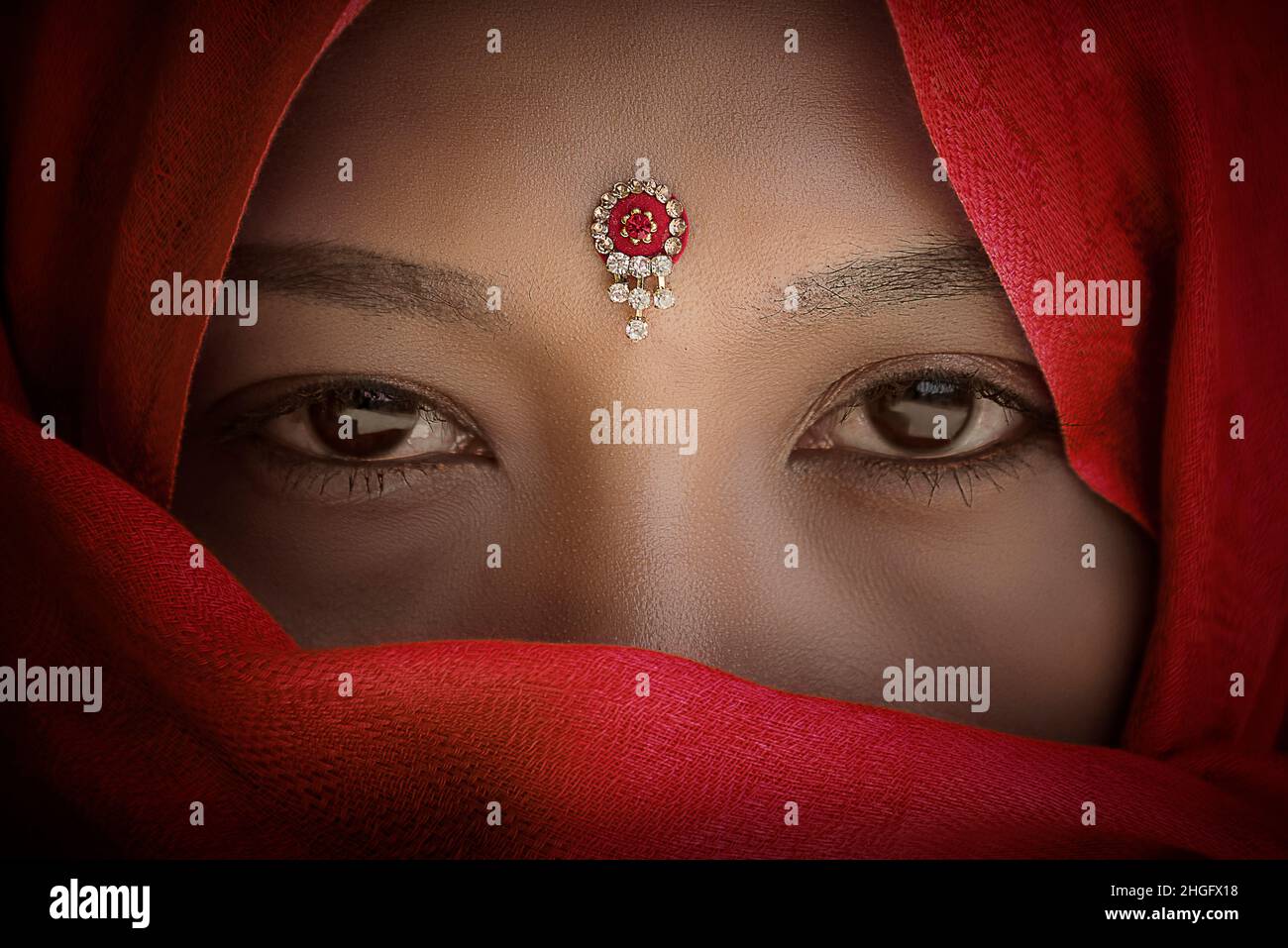 Indian lady portrait in Rajasthan Stock Photo