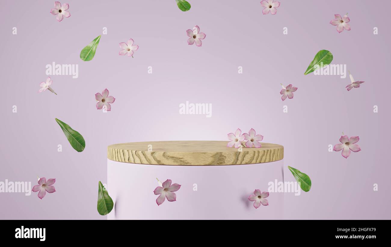Minimalism wooden product display stage with desert rose Adenium Obesum ...