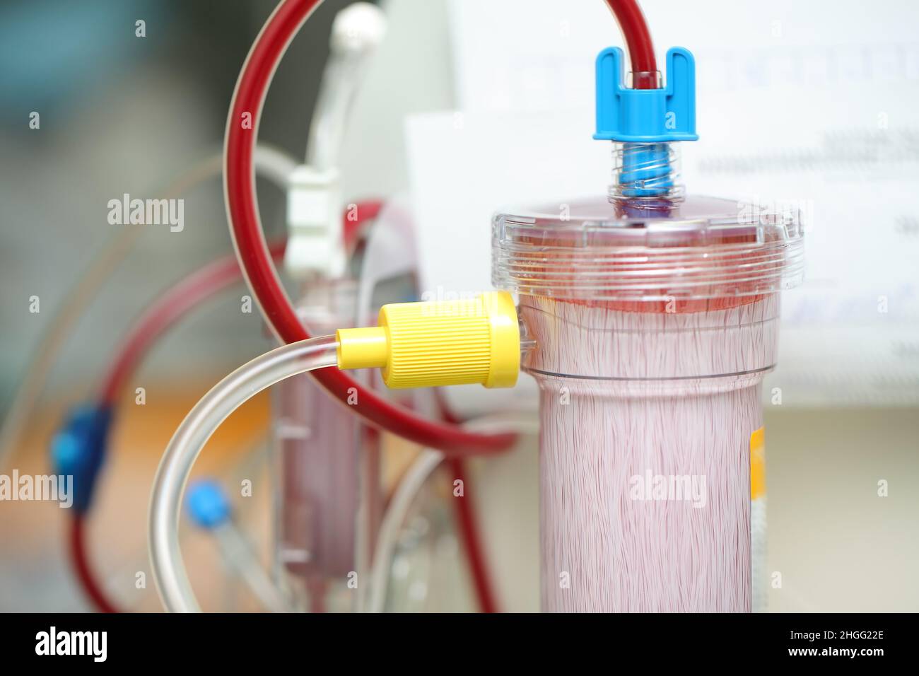 Renal filtration membrane hires stock photography and images Alamy
