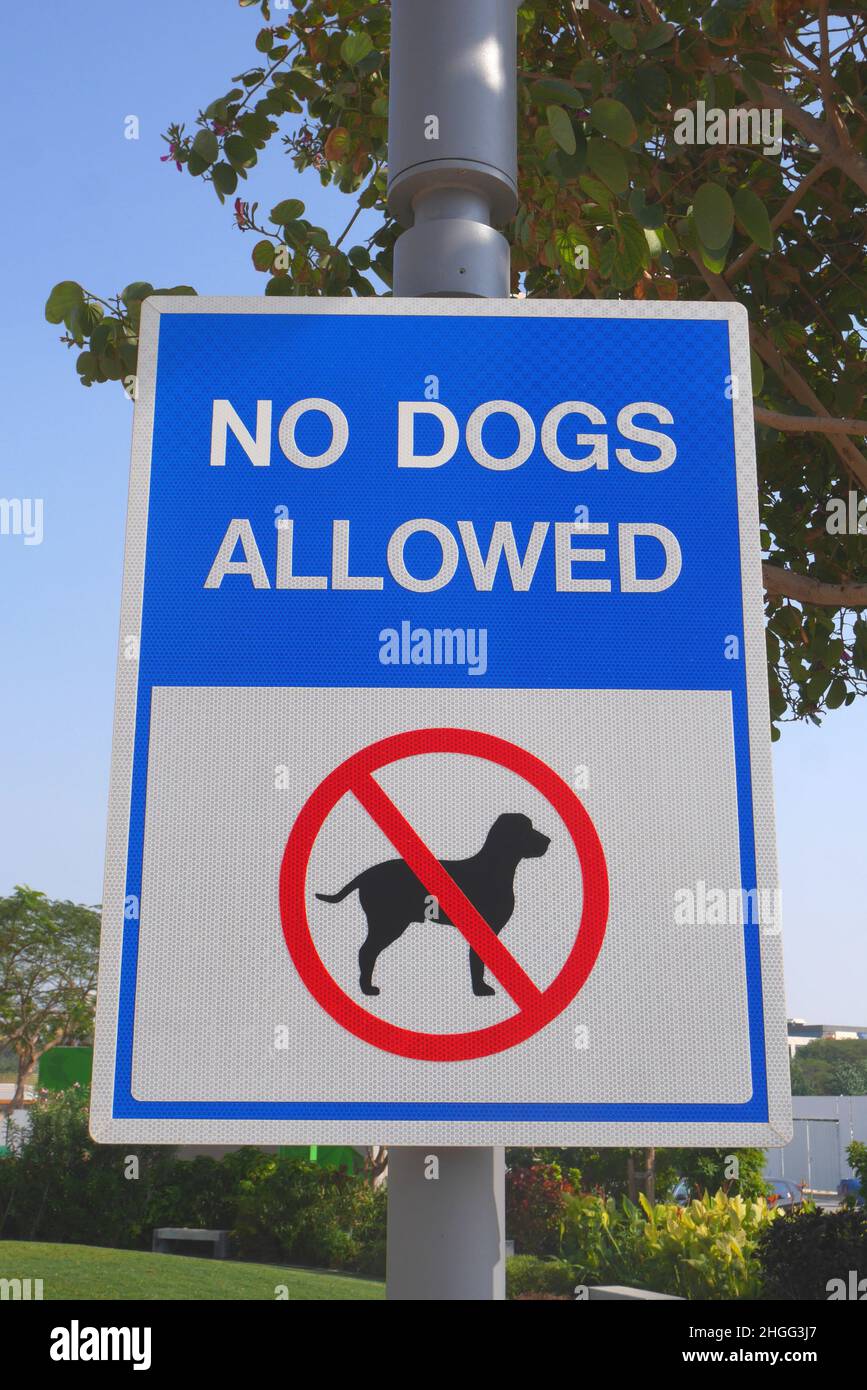 Warning sign at The Park, Bahrain Bay No dogs allowed Stock Photo Alamy