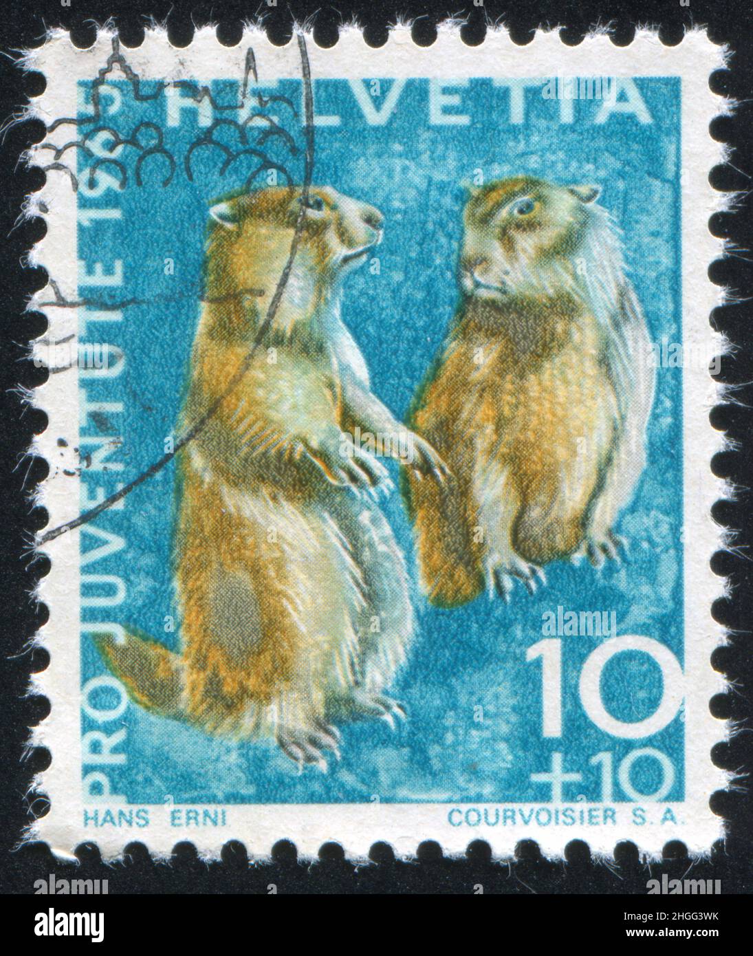 SWITZERLAND - CIRCA 1965: stamp printed by Switzerland, shows Alpine marmots, circa 1965 Stock Photo