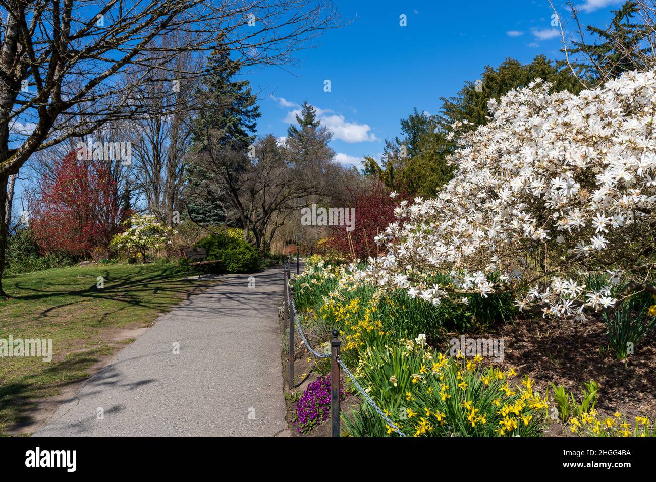 Queen elizabeth quarry gardens hires stock photography and images Alamy