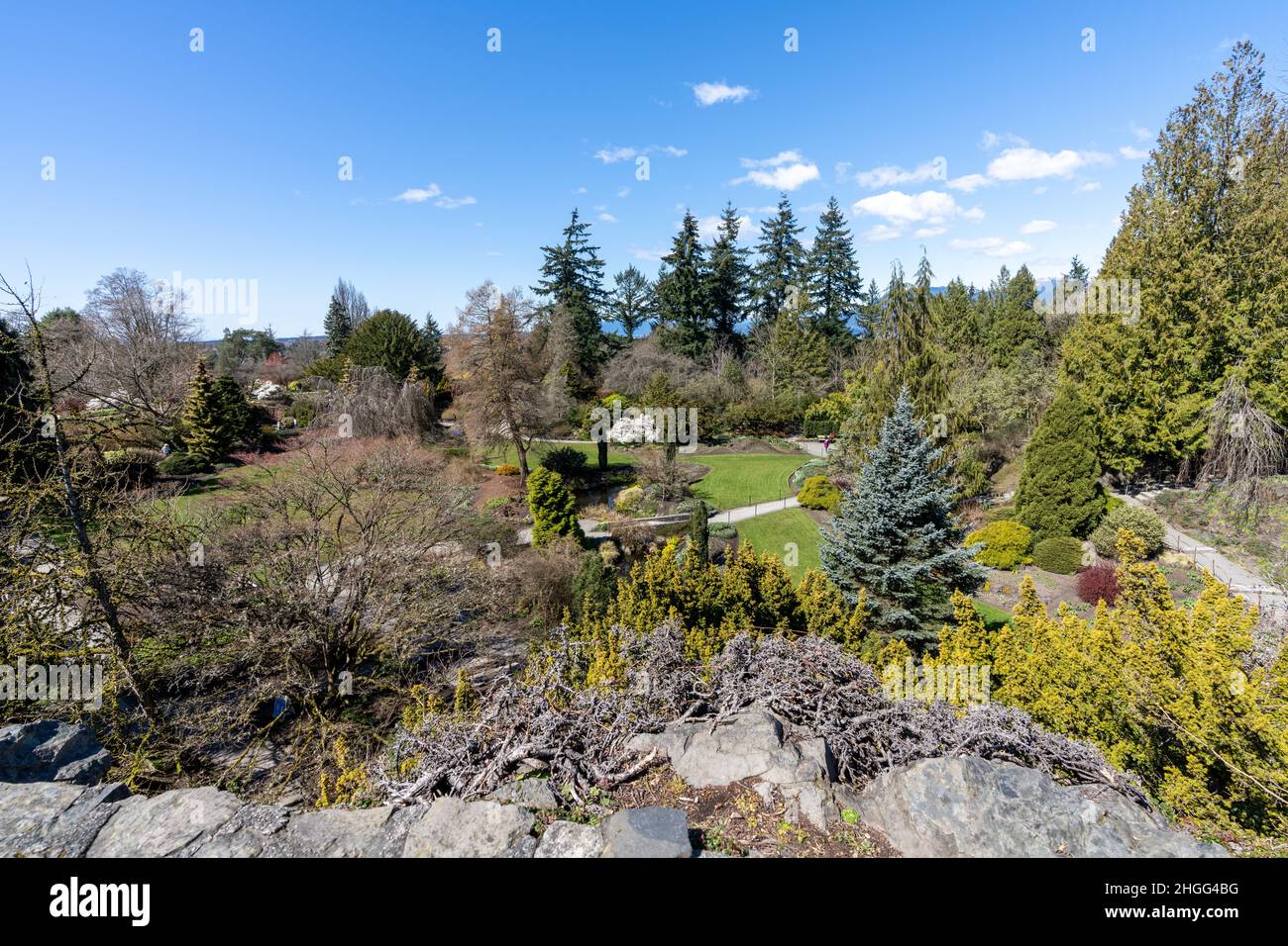Queen Elizabeth park quarry gardens in sunny day, beautiful flowers in