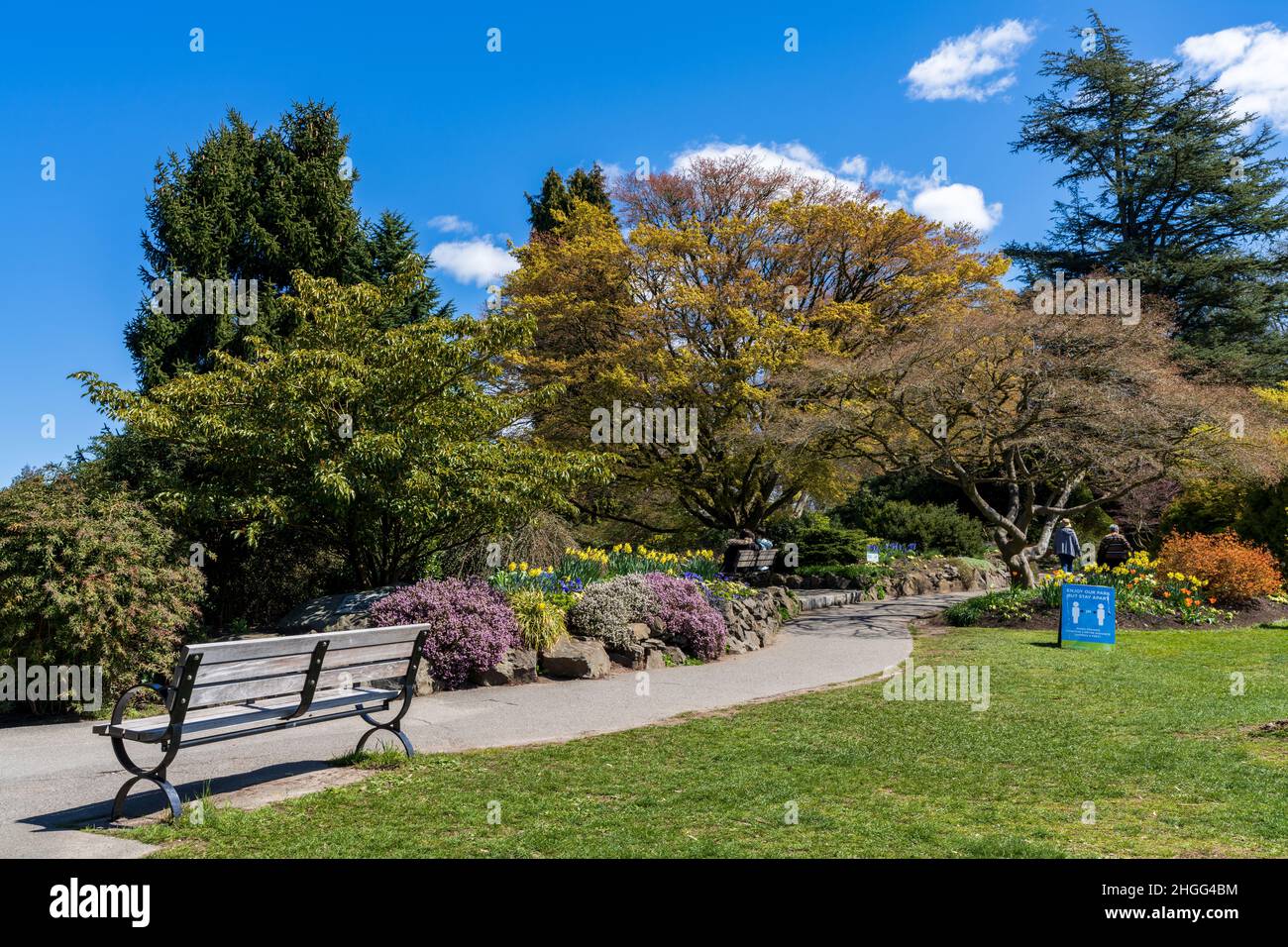 Queen Elizabeth park quarry gardens in sunny day, beautiful flowers in