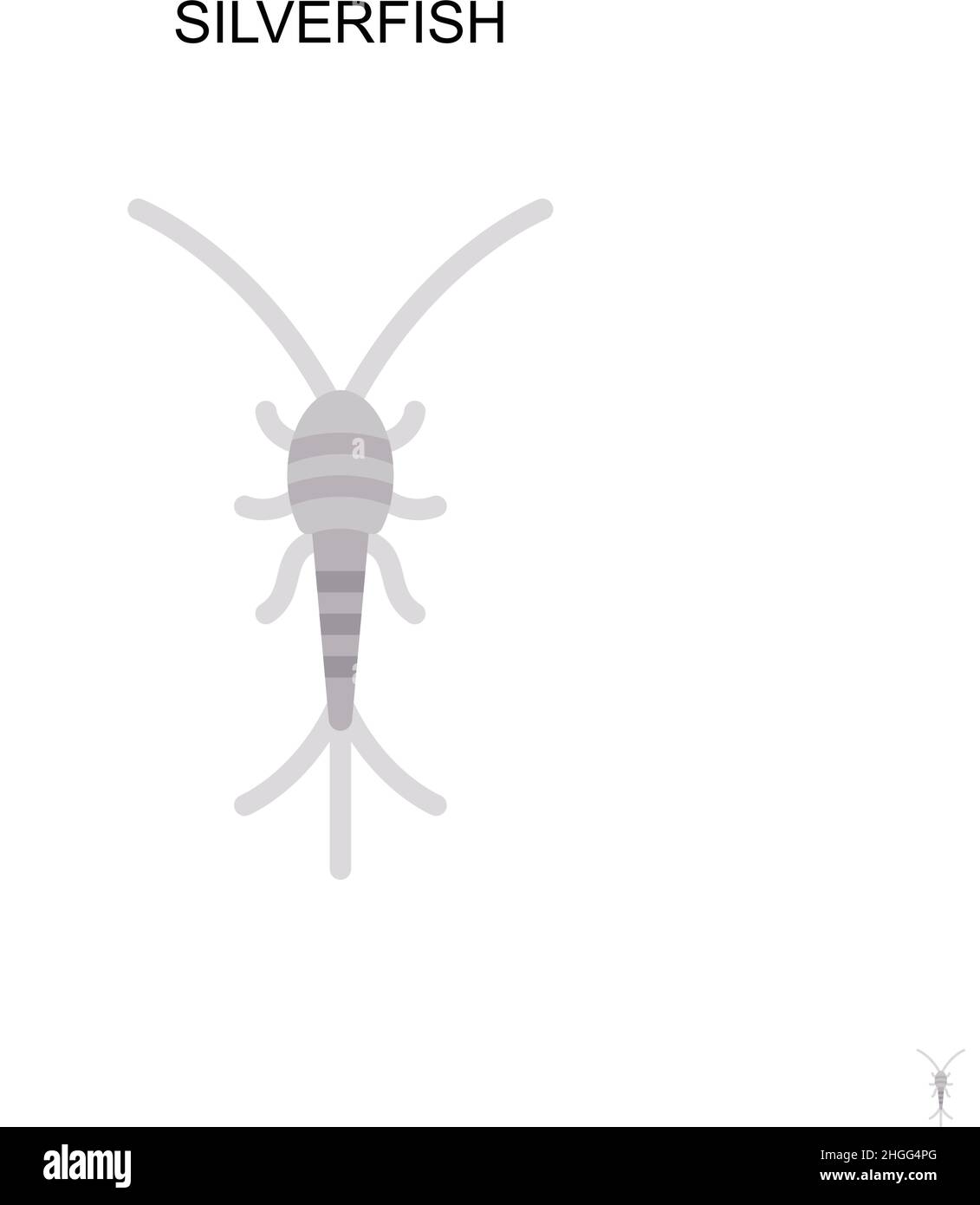 Silverfish Simple vector icon.Perfect color modern pictogram on editable stroke. Silverfish icons for your business project Stock Vector