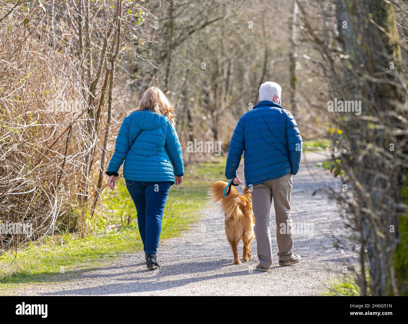Senior couple walking with their dog in the park on an autumn day Stock Photo