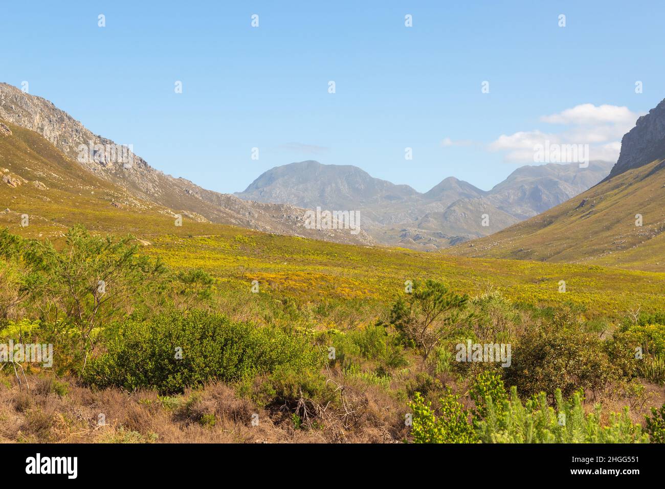 Landscape in the Kogelberg, Western Cape of South Africa Stock Photo