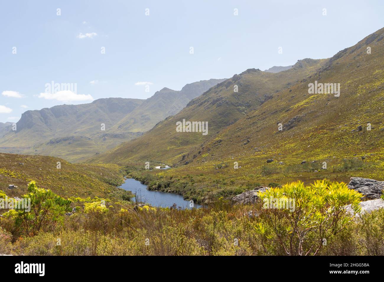 Fynbos kogelberg nature reserve hi-res stock photography and images - Alamy
