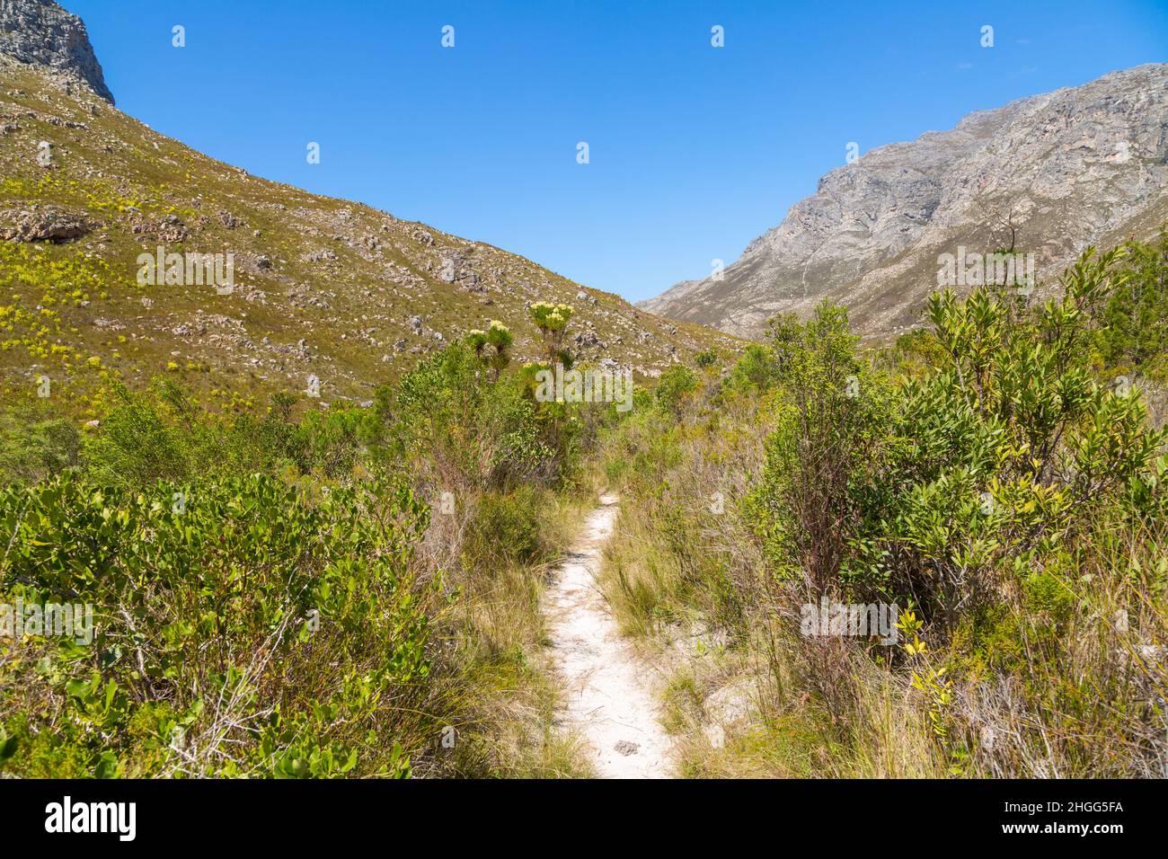 Small Hiking Trail in the Kogelberg, Western Cape of South Africa Stock Photo