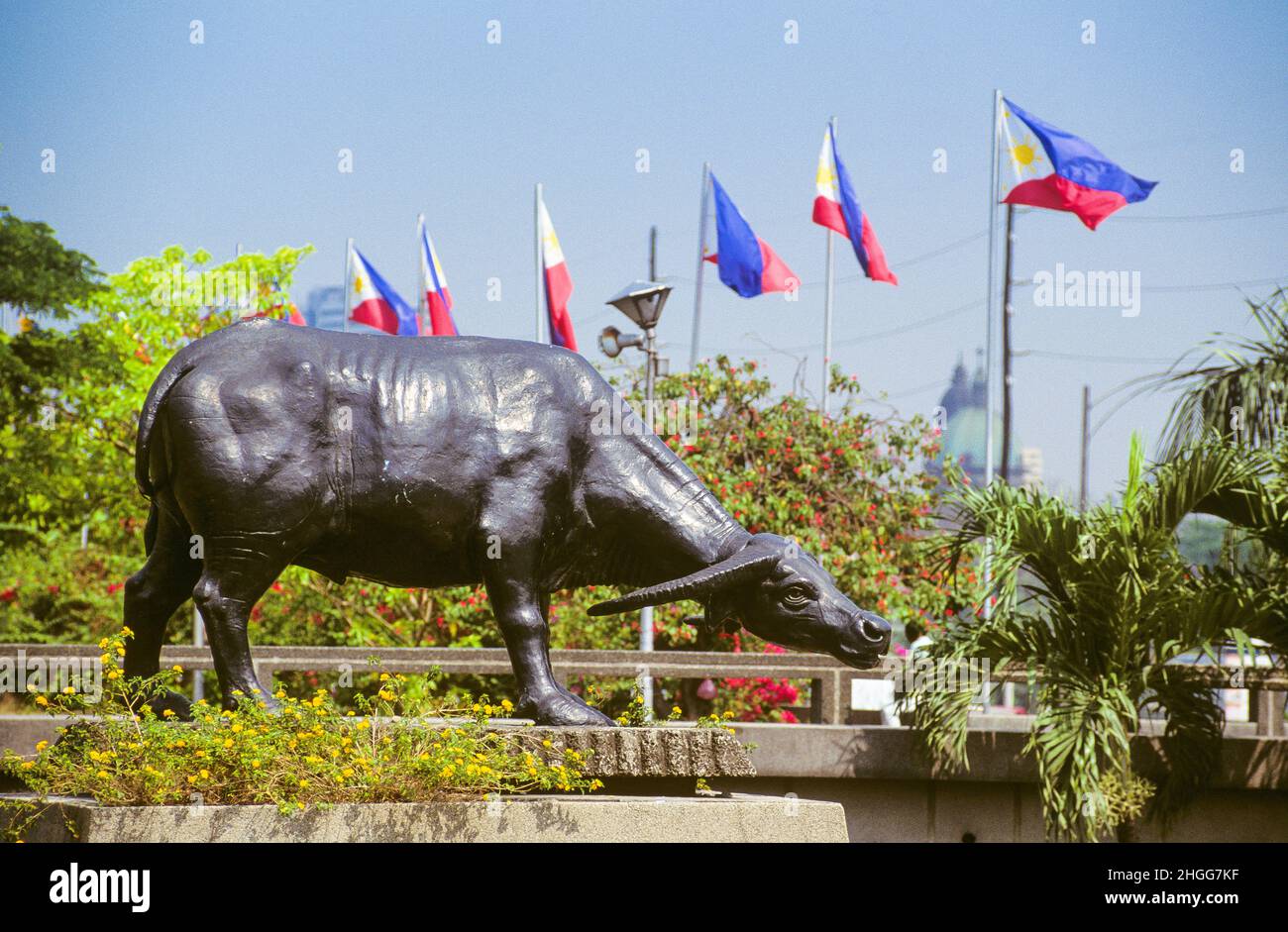 A lifesized carabao (water buffalo) statue on Burnham Green in the