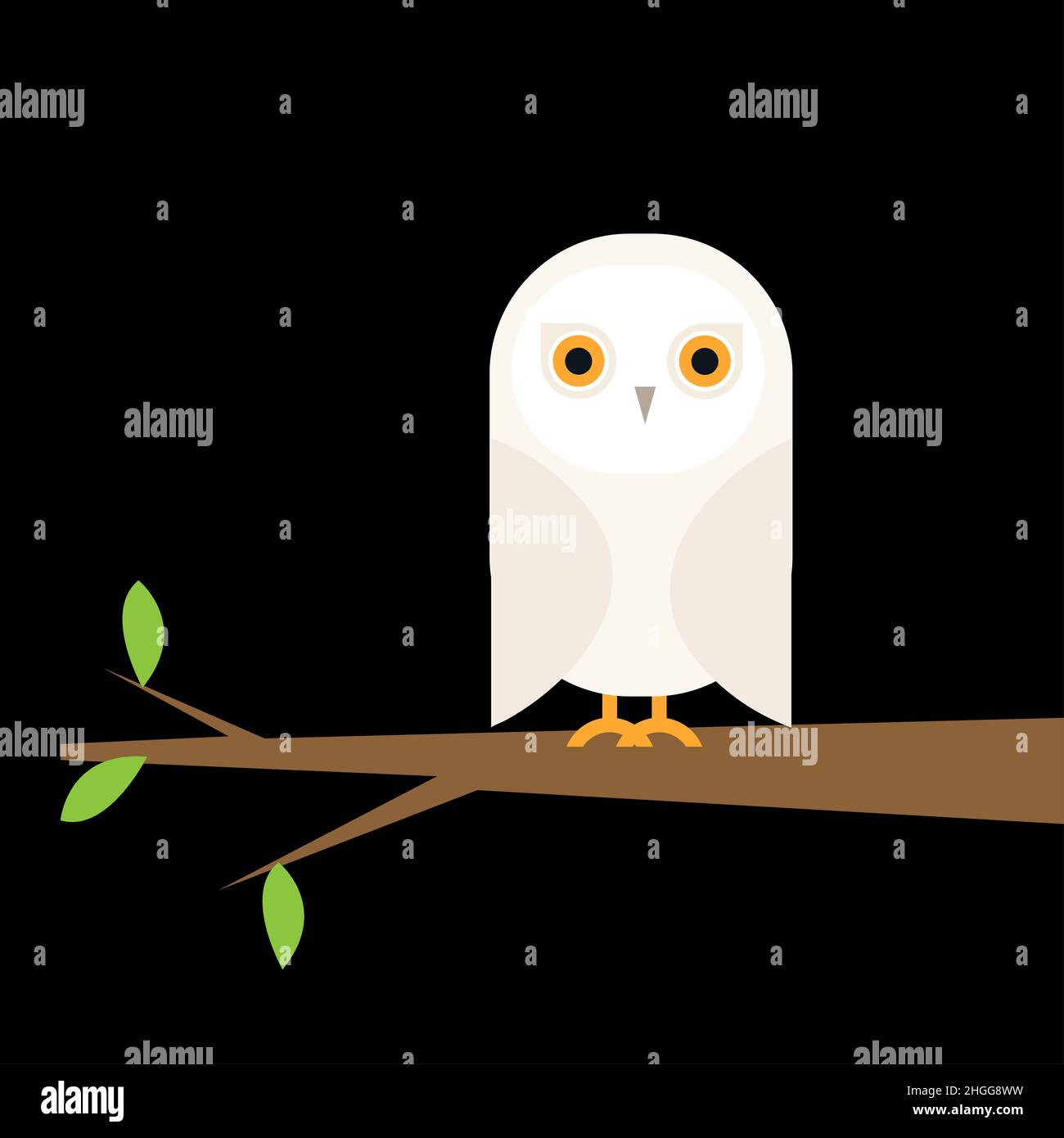 barn owl illustration. barn owl clip art or image Stock Photo - Alamy