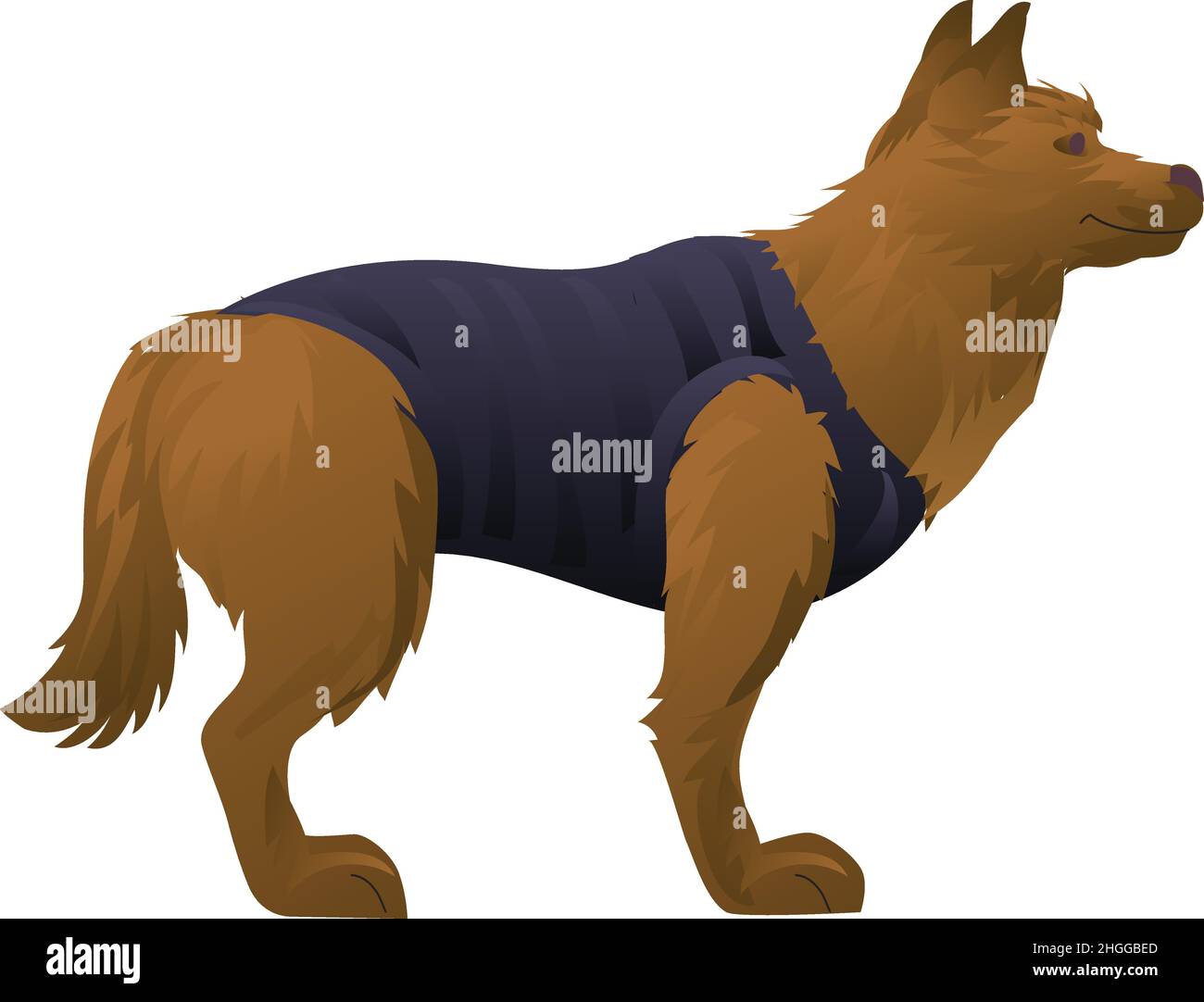 American Football  Fanny Anime German Shepherd Dog Colorful Graphic 001  Painting by Aryu  Pixels