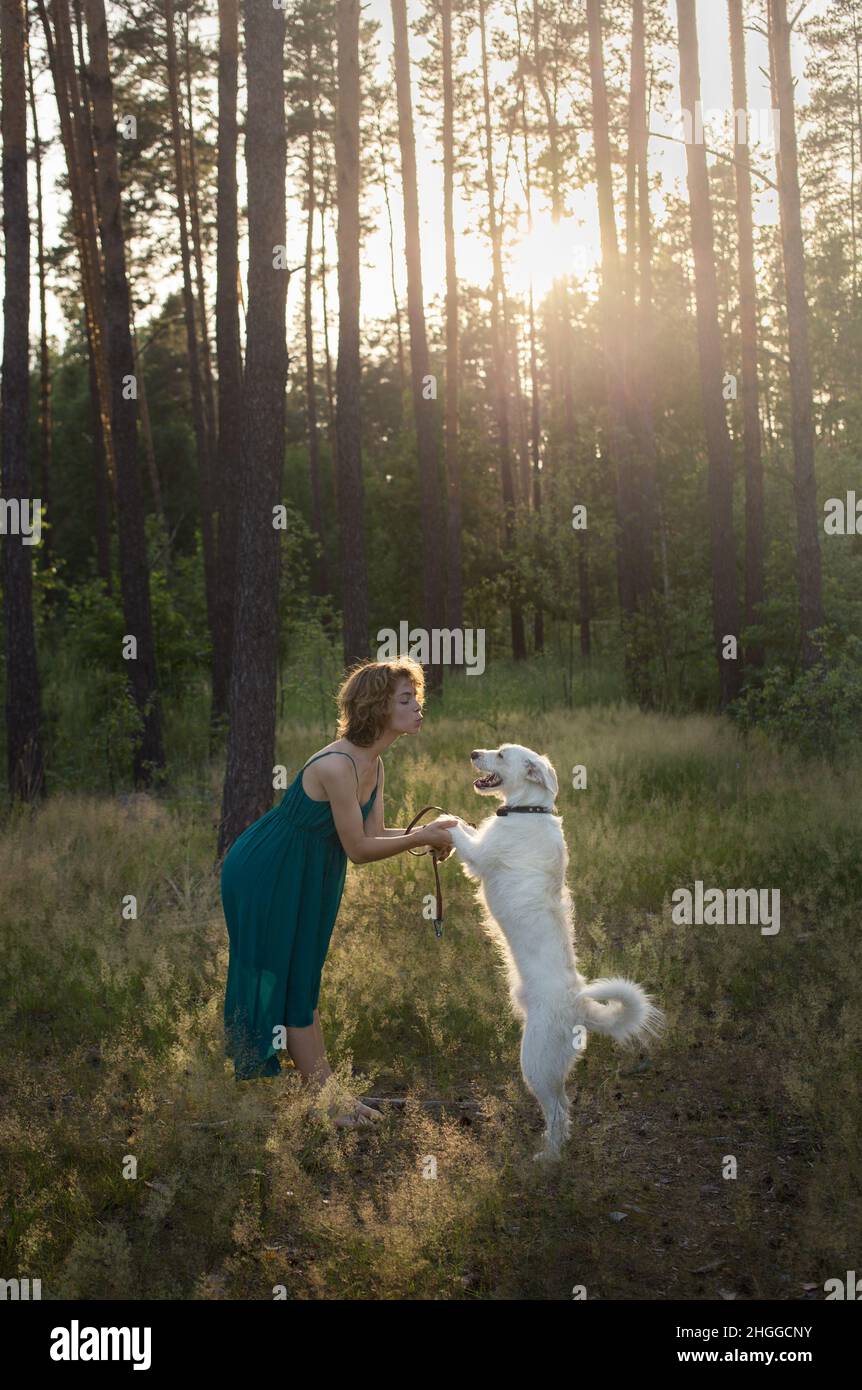young woman in a dress with her beloved white dog is playing in the forest. the joy of being with a pet. Friendship between a girl and an animal. Rest Stock Photo