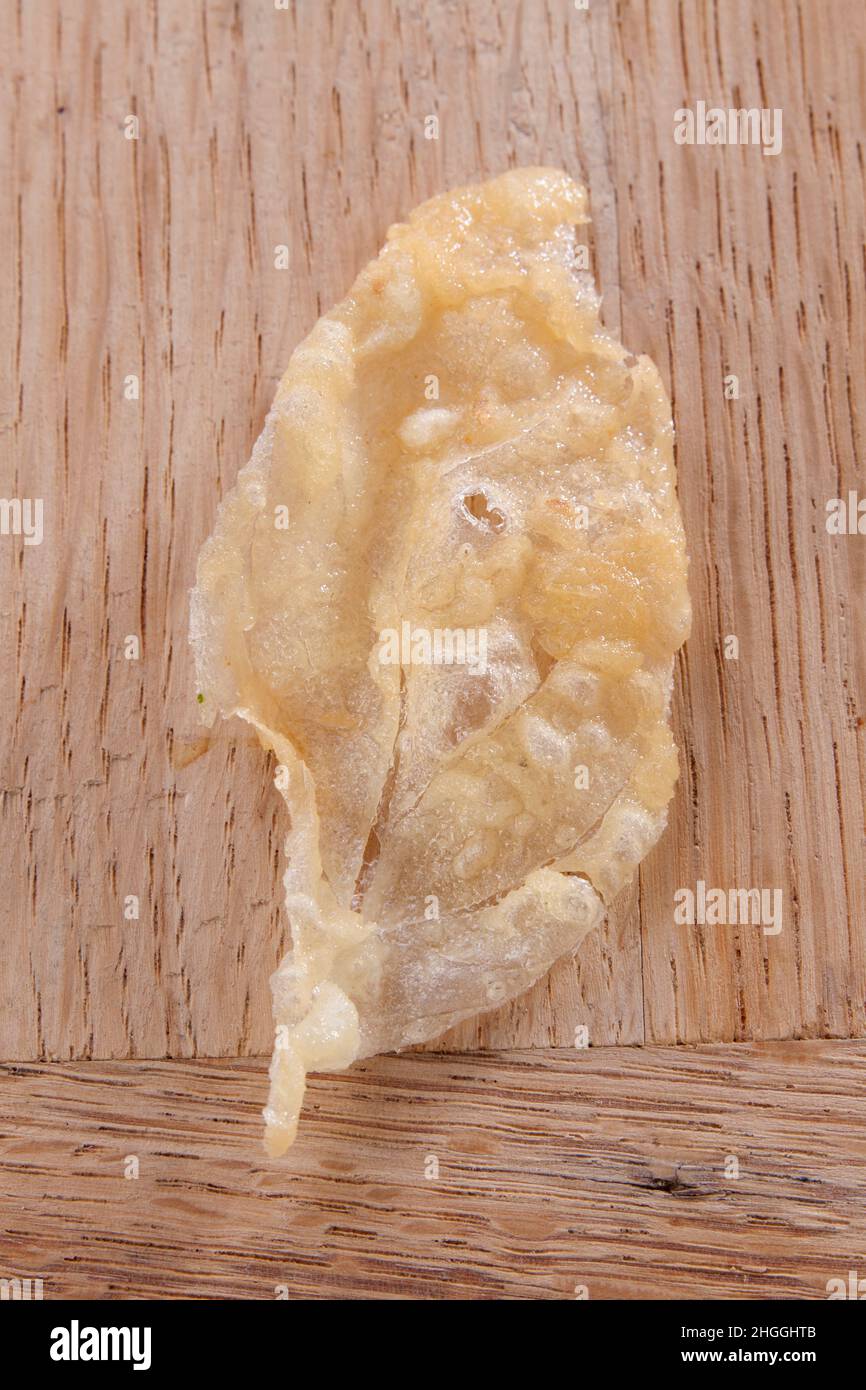 Deep fried tempura lifted off a basil leaf Stock Photo Alamy