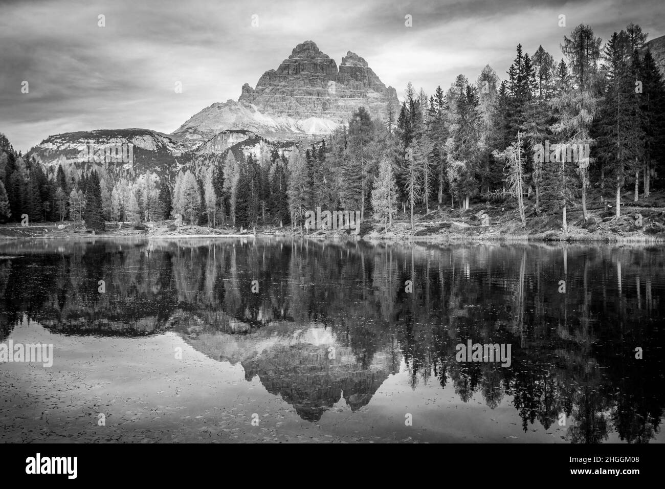 Reflection of larches and dolomitic peaks lake. Monochrome effect photo Stock Photo