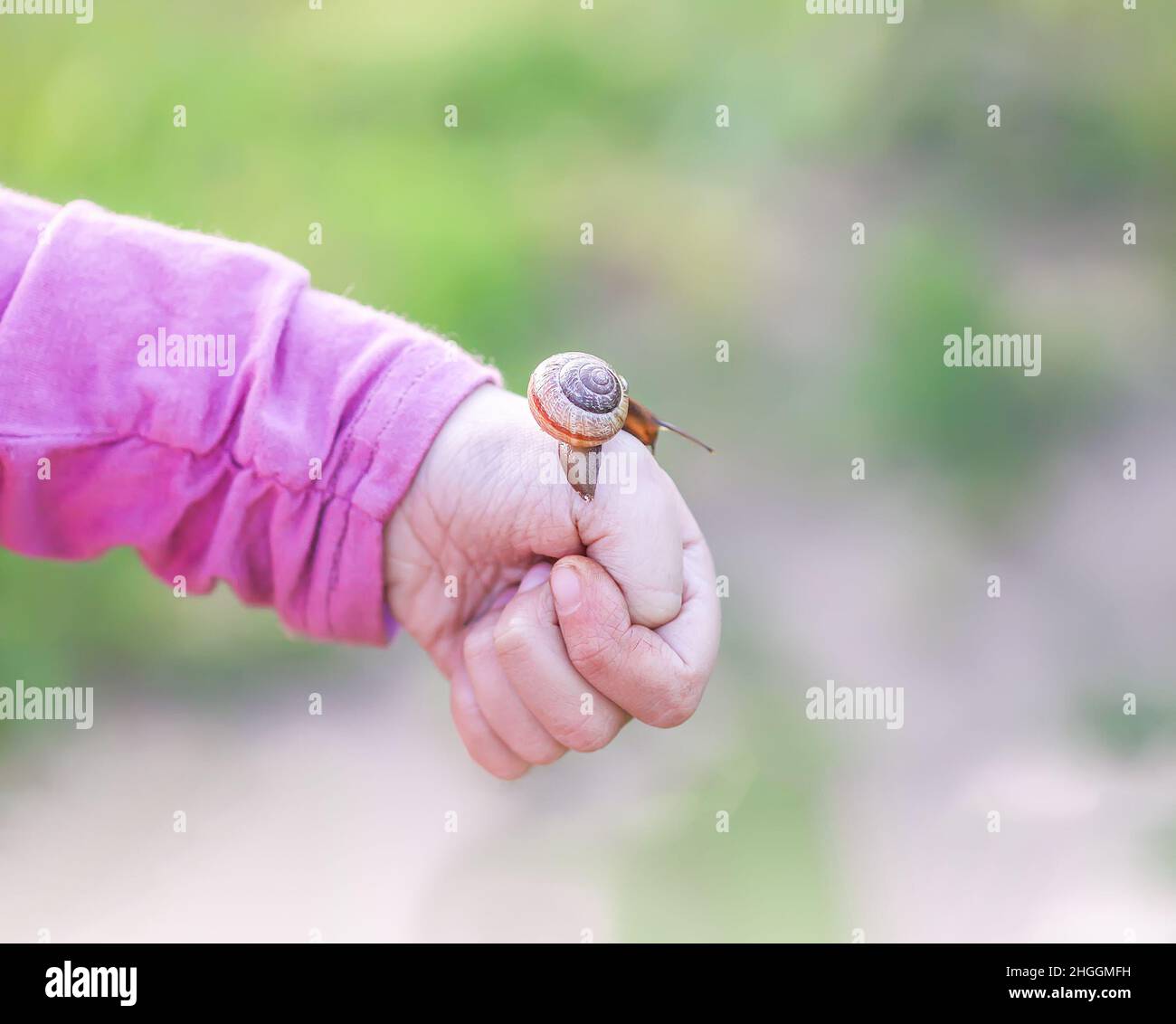A snail on child hand on the green nature background in countryside ...