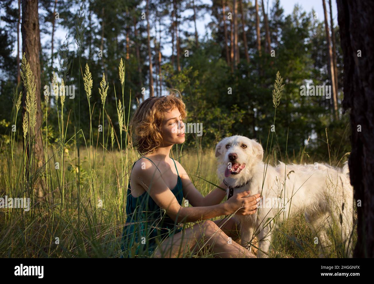 young woman and her white dog are sitting in the tall grass in the forest. the joy of life. Summer walks in nature. friendship between a girl and a pe Stock Photo