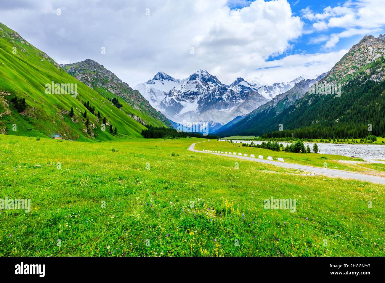 Green grassland and white glaciers natural scenery in Xinjiang,China. Stock Photo