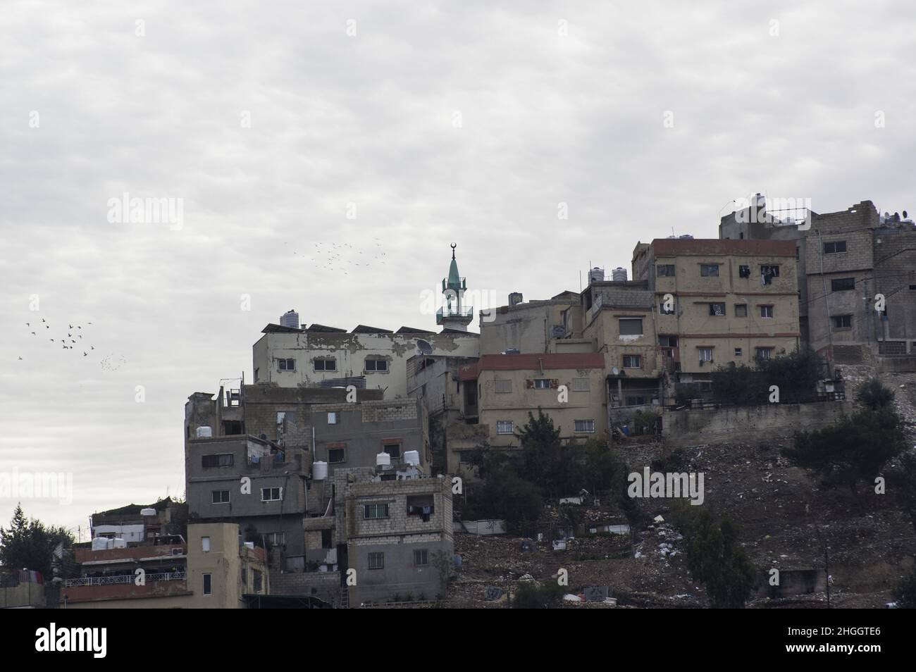 View of Amman Jordan cityscape landscape with buildings and trees on a hill in a densely populated area and a mosque in view. Stock Photo
