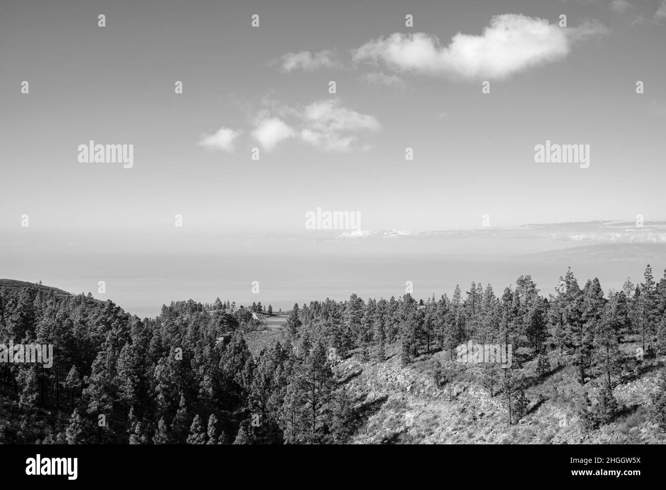 Views over the pine forest to the Atlantic and La Gomera from Taucho, Adeje, Tenerife, Canary Islands, Spain Stock Photo