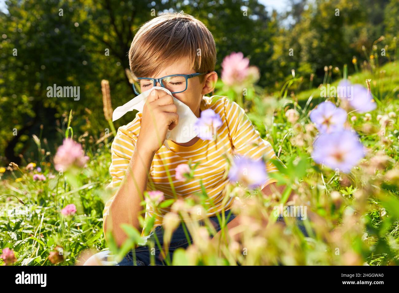 Boy with a runny nose or hay fever blowing his nose in a blooming meadow Stock Photo
