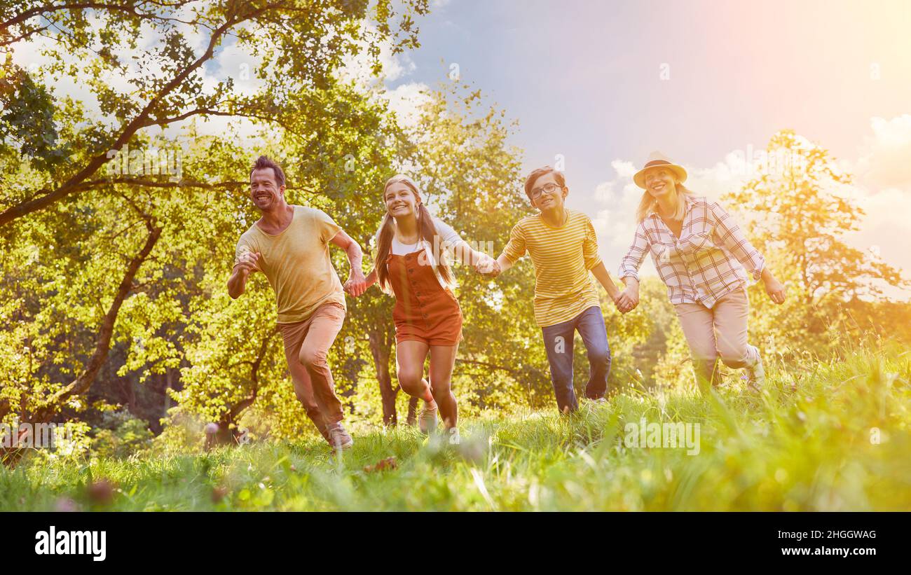 Family and two children are walking hand in hand on a green meadow in summer Stock Photo