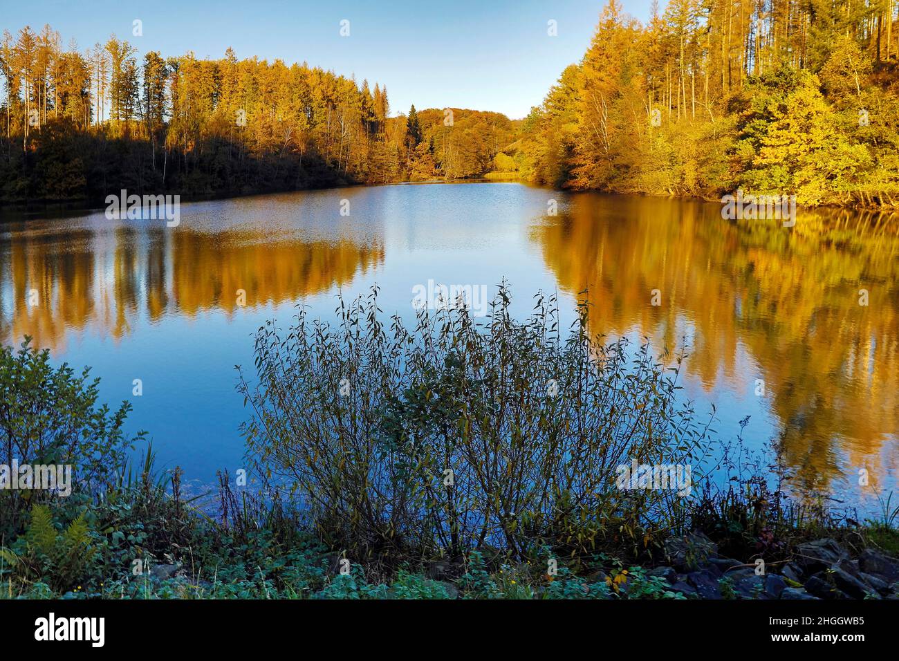 Genkel Storage Lake in autumn, Germany, North Rhine-Westphalia, Sauerland, Meinerzhagen Stock Photo