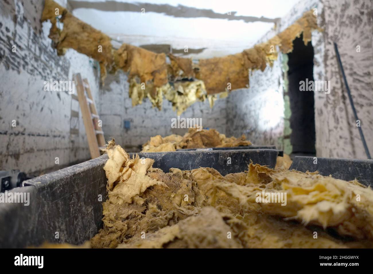 Insulation material that is dried before disposal when renovating after a flood disaster in order to reduce weight, Germany, North Rhine-Westphalia Stock Photo