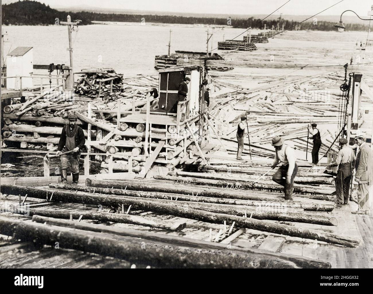 Archival logging hires stock photography and images Alamy