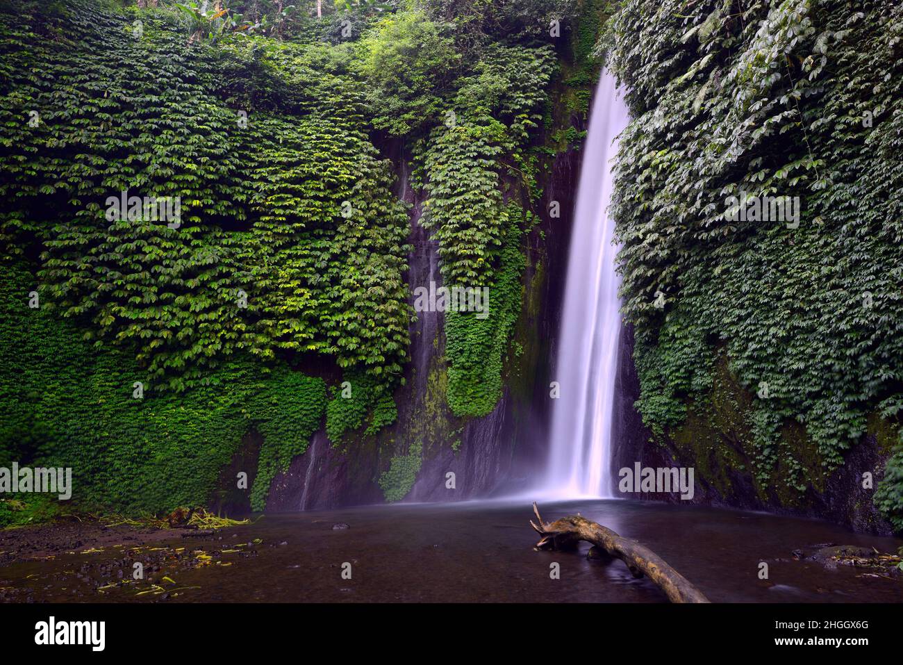 Waterfall of Munduk, Indonesia, Bali Stock Photo