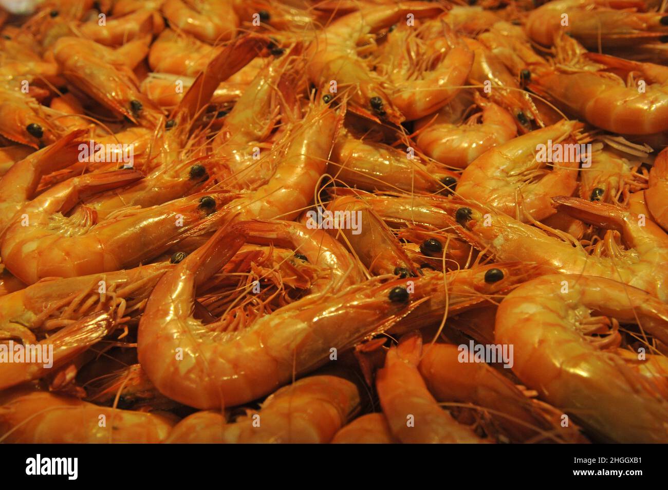 fresh king prawns on the fish market, Australia Stock Photo