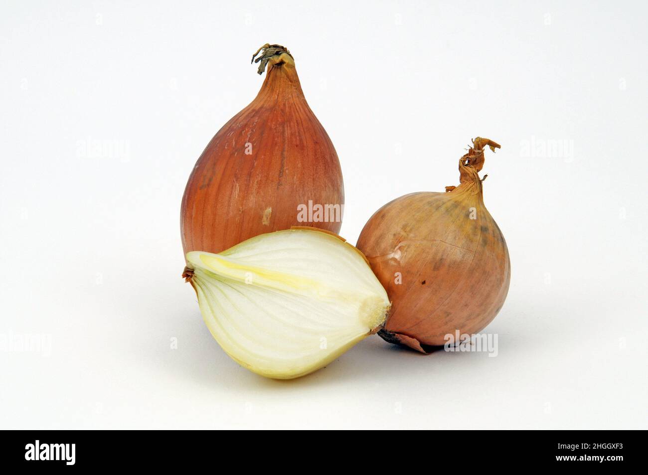 Garden onion, Bulb Onion, Common Onion (Allium cepa), whole and halved