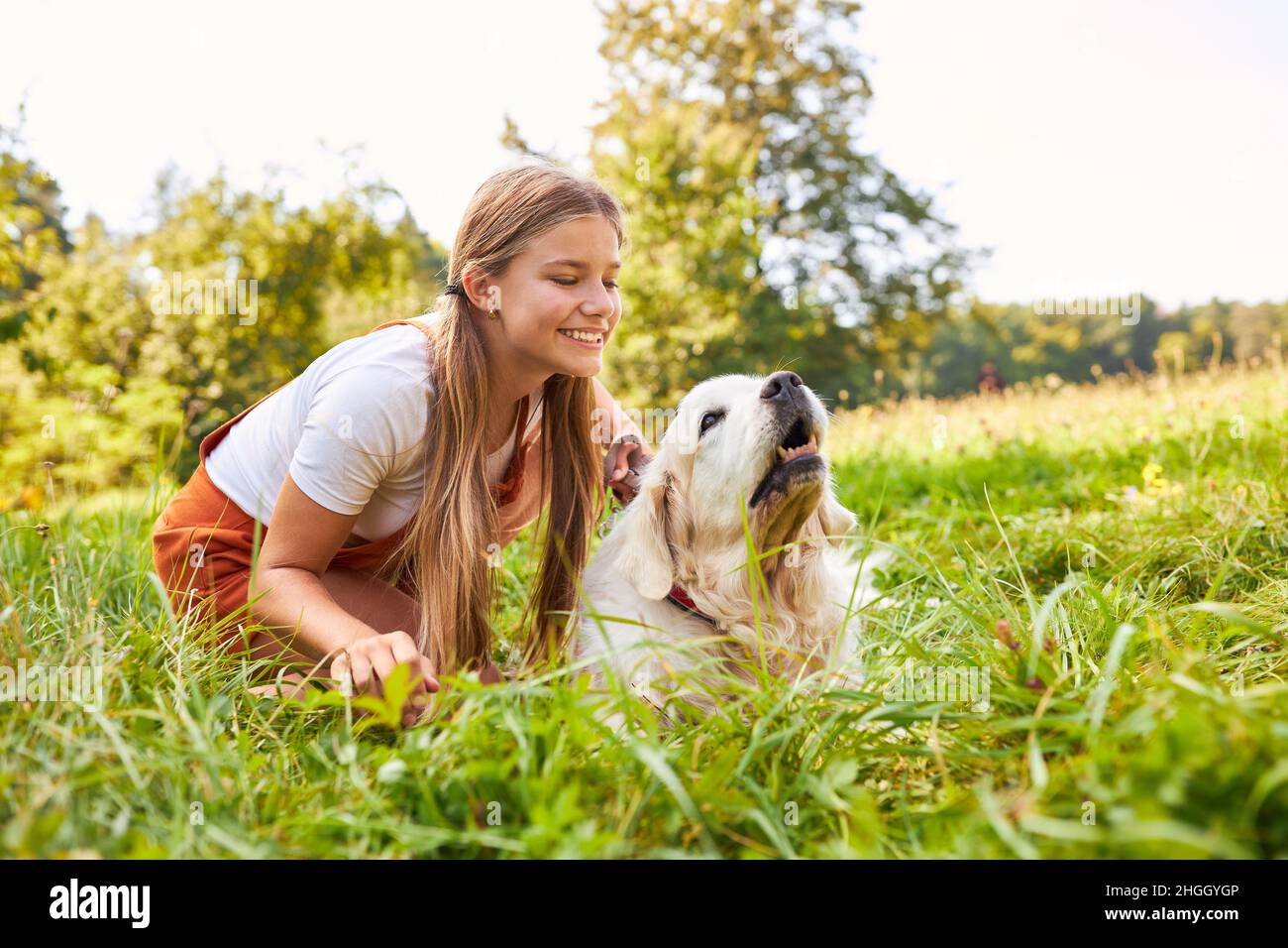 Girl on a meadow in summer playing and petting her dog Stock Photo - Alamy