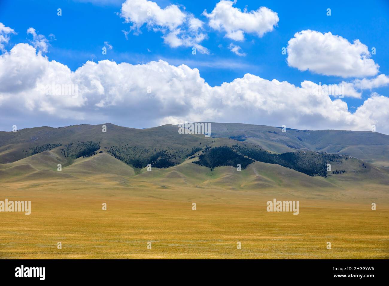 Xinjiang grassland and mountain scenery in autumn season,China. Stock Photo