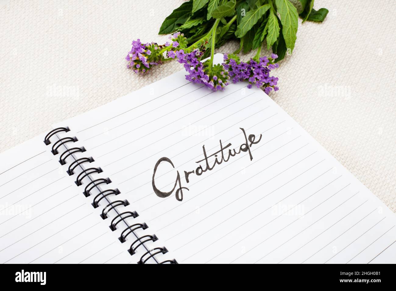 Notebook with the word Gratitude written on it. Placed on a rustic surface Stock Photo