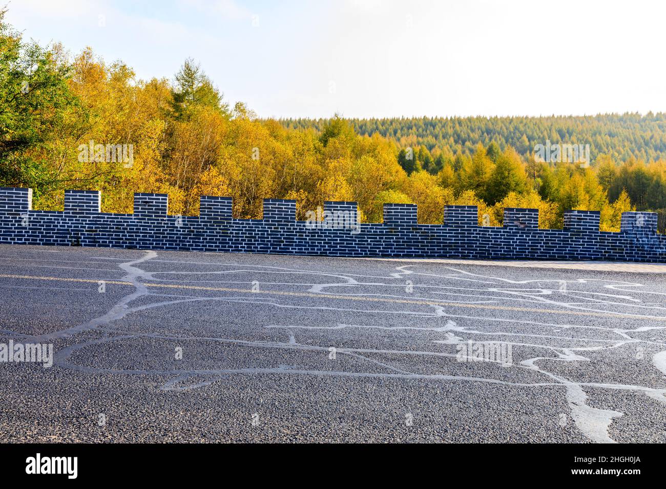 Empty asphalt road and autumn trees landscape.Road and forest with ...