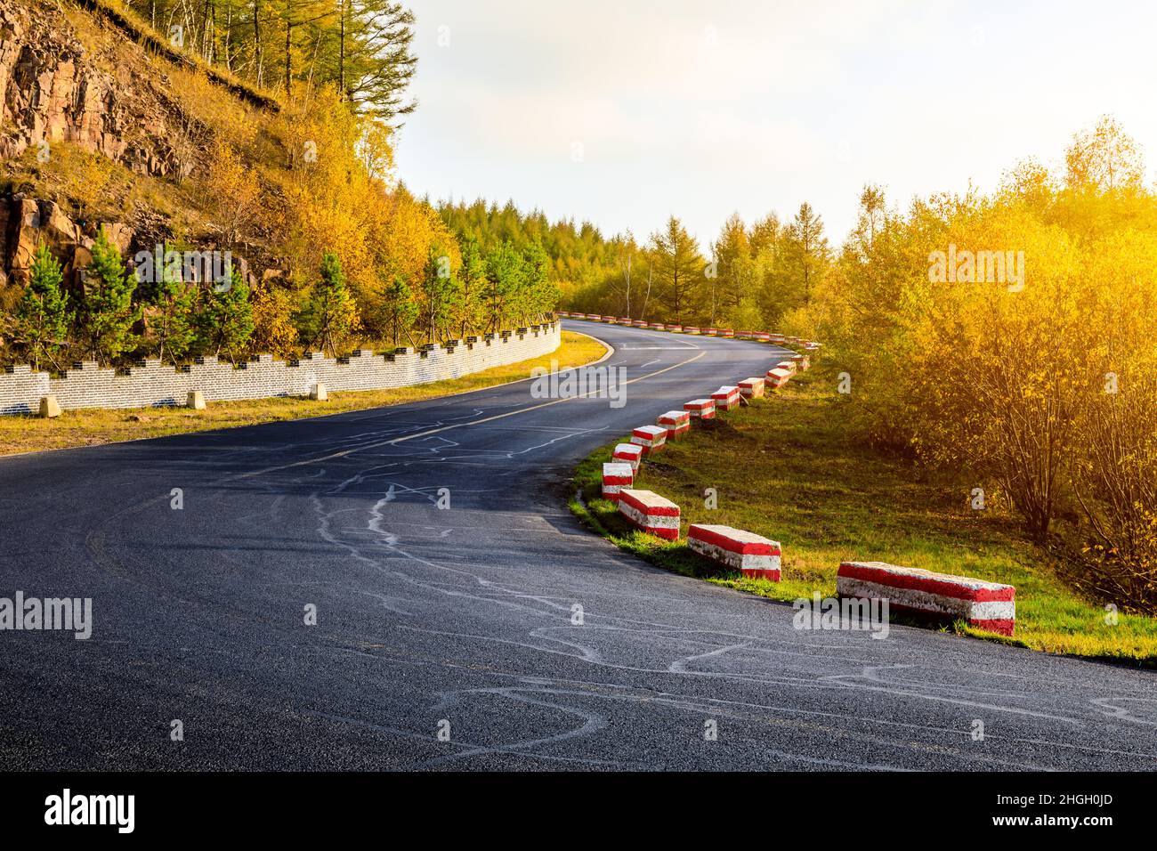 Empty asphalt road and autumn trees landscape.Road and forest with ...