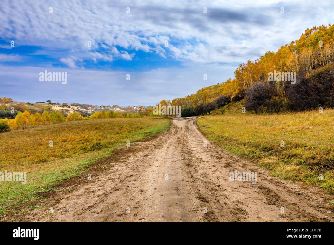 Country dirt road and trees landscape in autumn Stock Photo - Alamy