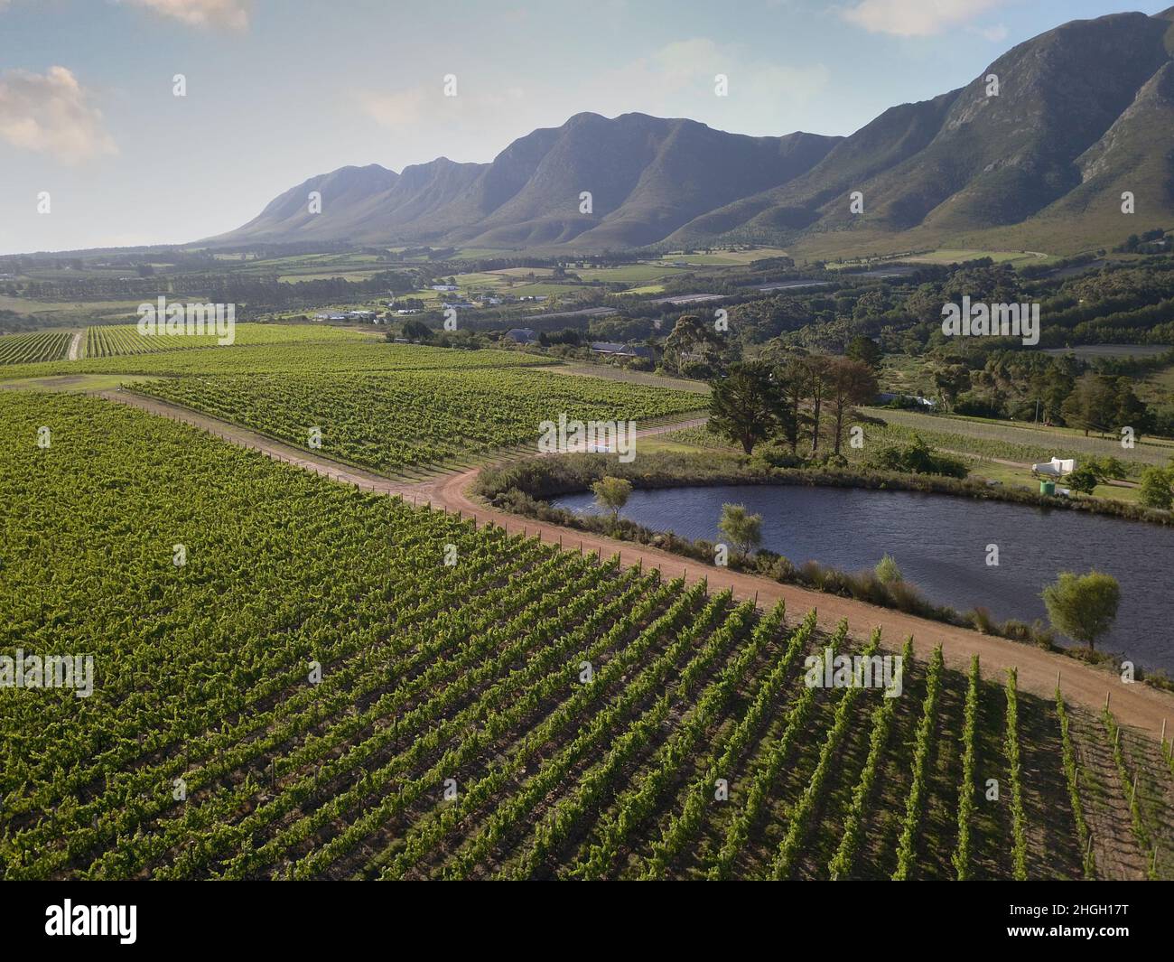 Aerial over vineyard in beautiful valley Stock Photo
