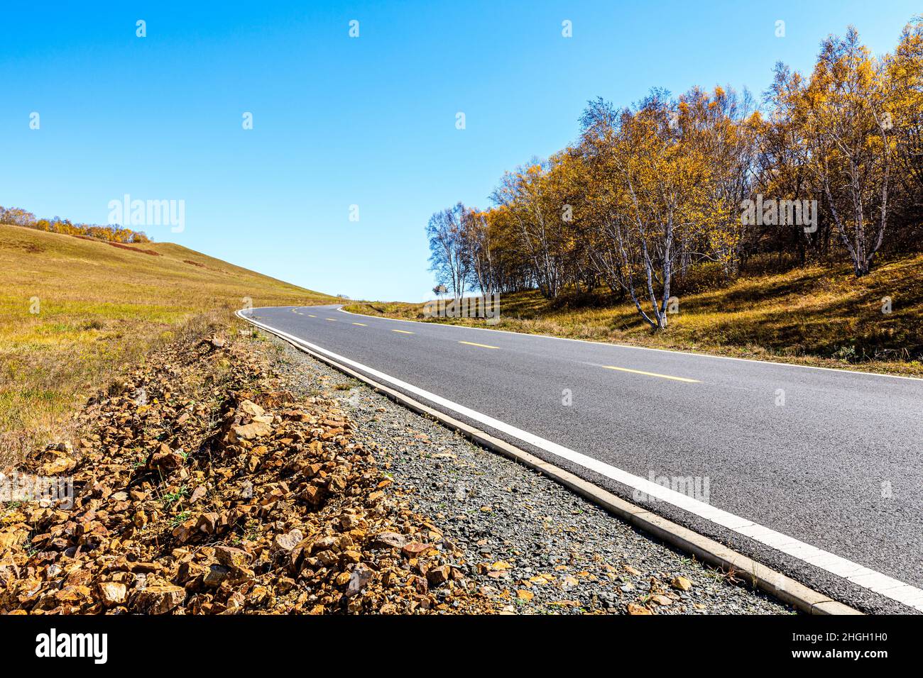 Empty asphalt road and autumn forest landscape.Road and trees ...