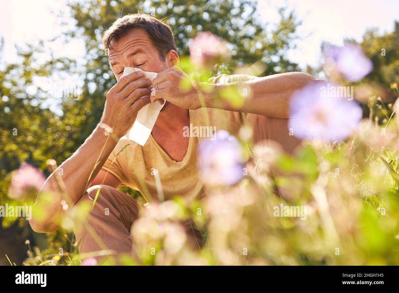 Man sneezing into handkerchief with hay fever in a blooming summer meadow Stock Photo