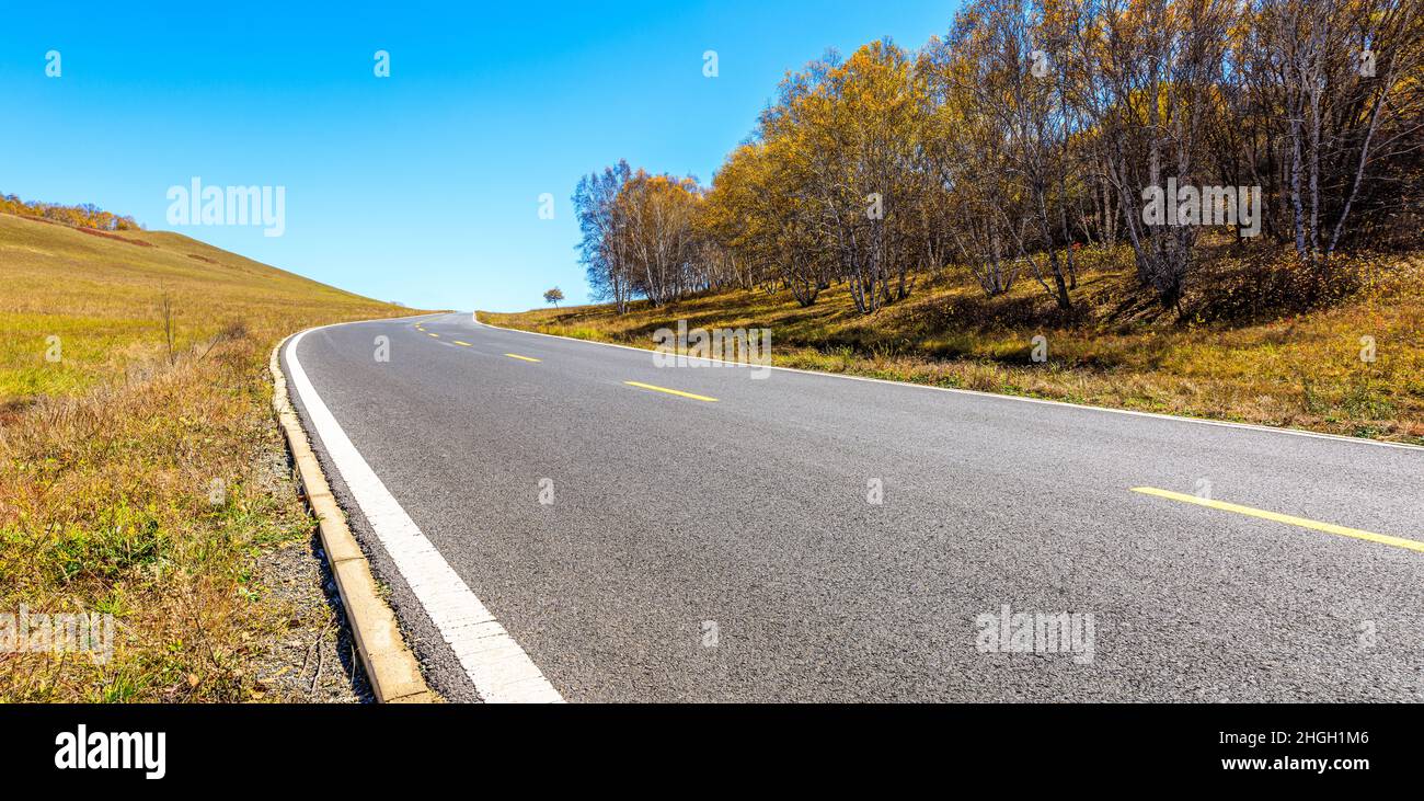 Empty asphalt road and autumn forest landscape.Road and trees ...