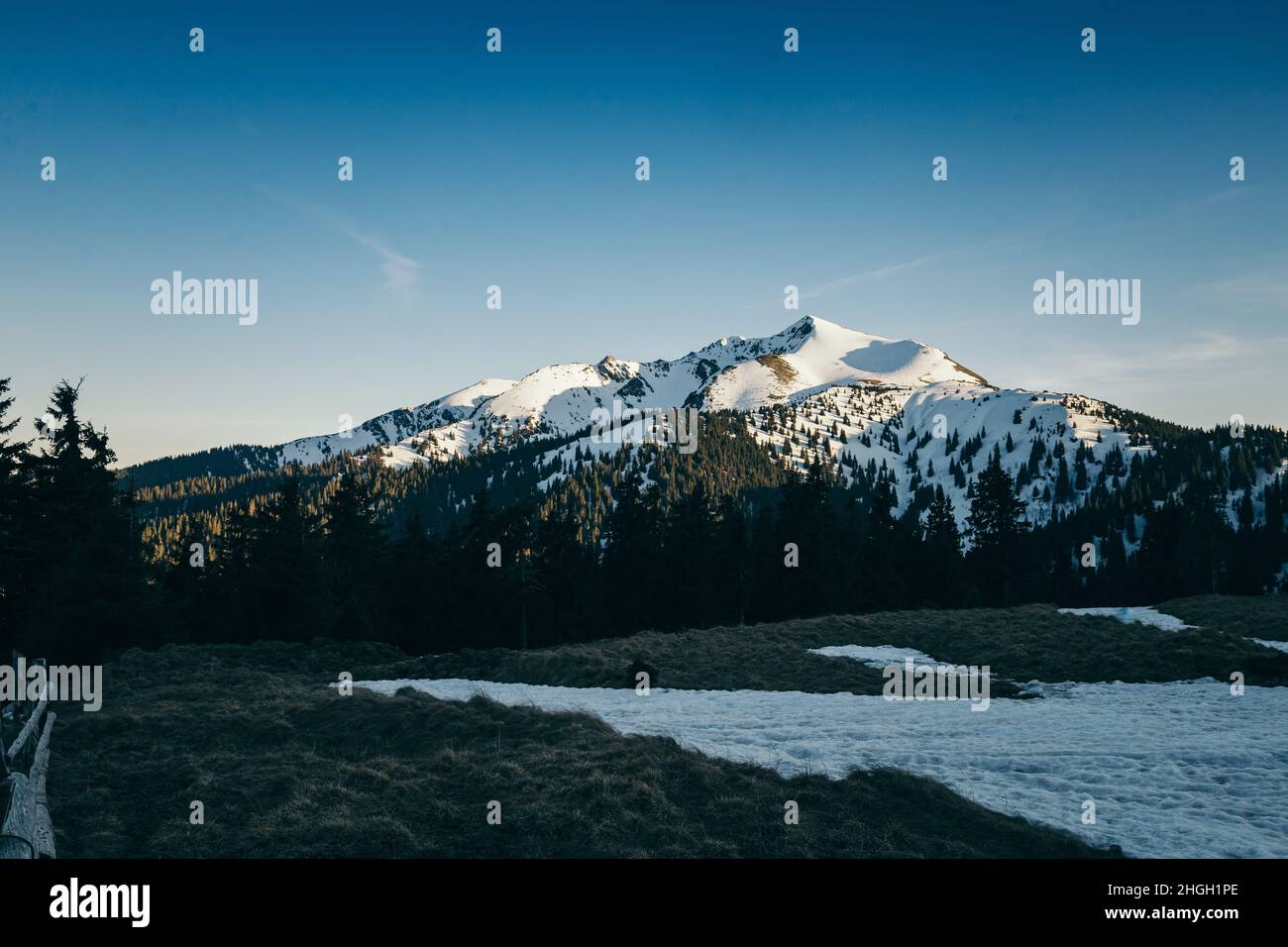 Beautiful scenery snowy forest hi-res stock photography and images - Alamy