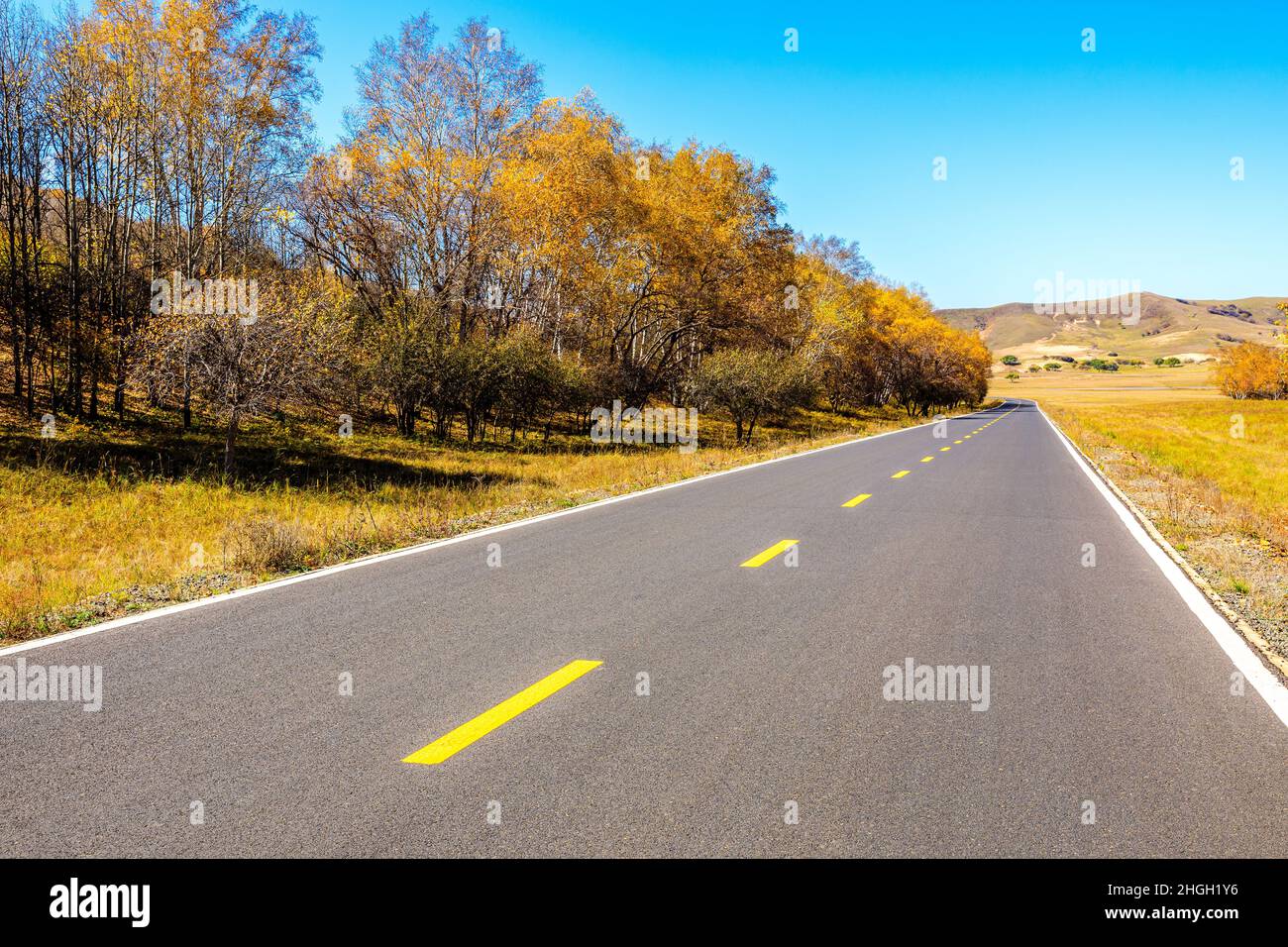 Empty asphalt road and autumn forest landscape.Road and trees ...