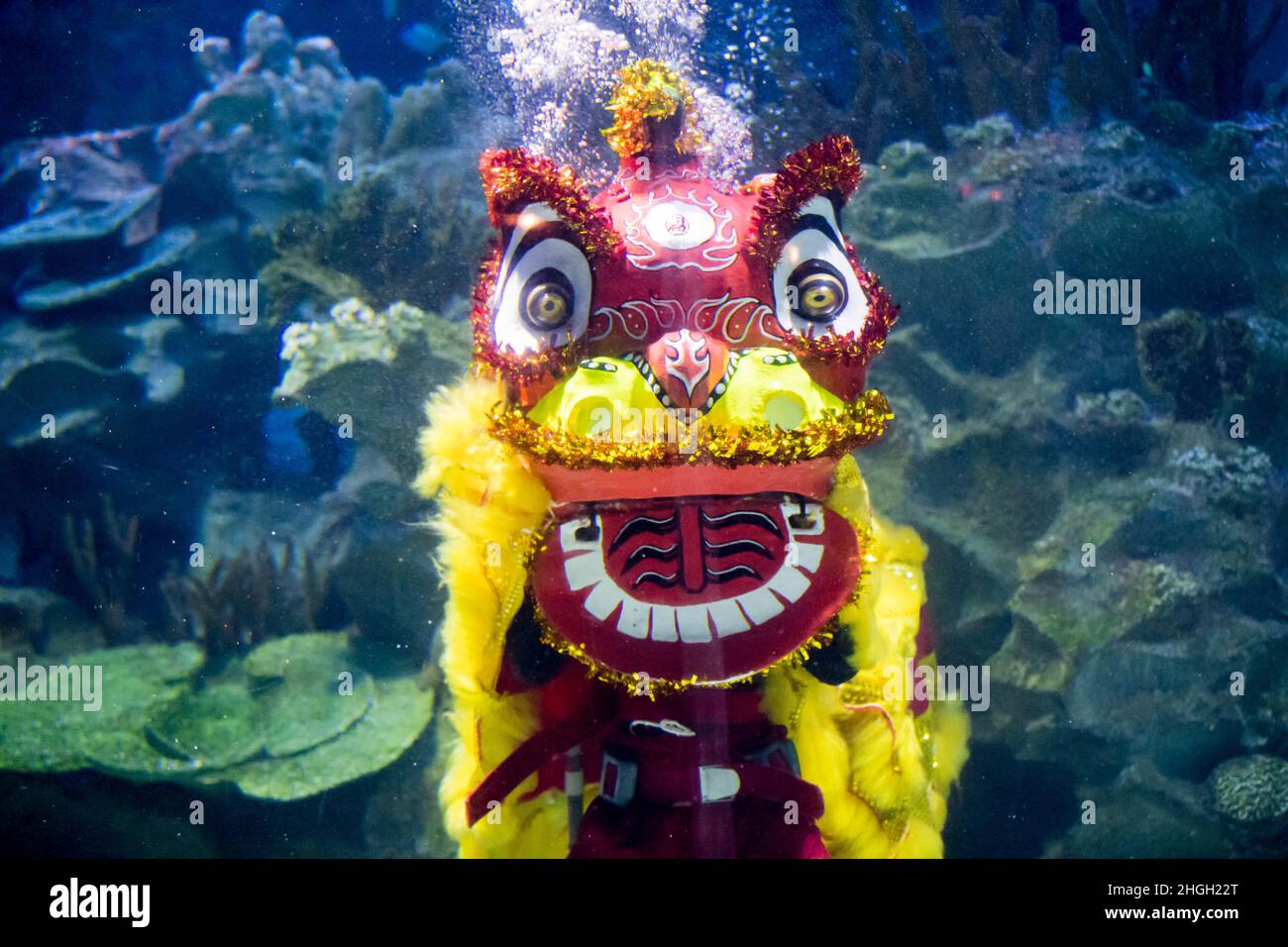 Kuala Lumpur, Malaysia. 21st Jan, 2022. Divers dressed as a lion stage